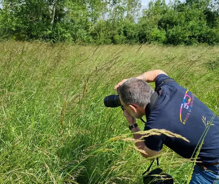 Photographie animalière aux Pâtis du Mesnil · photo 1