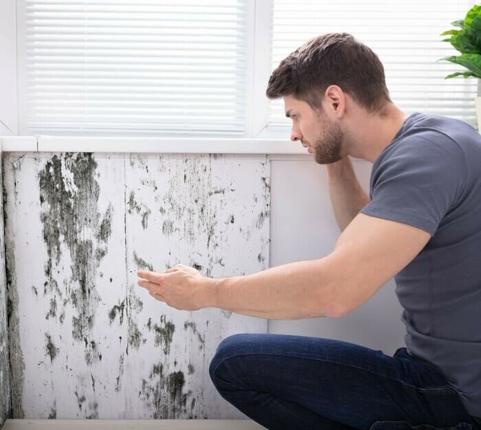 Votre logement est insalubre ? · photo 1