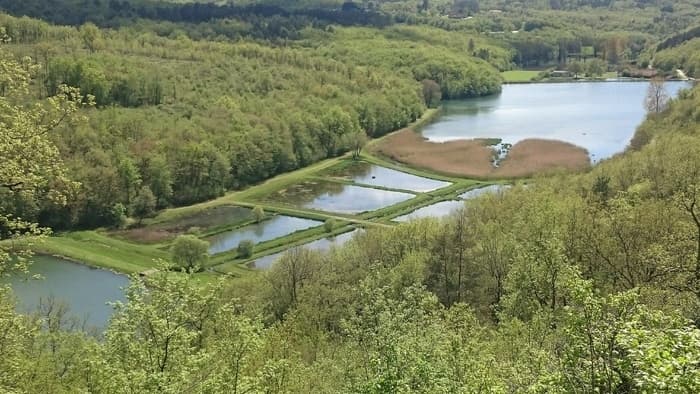 À la découverte de la biodiversité des étangs de Valojoulx · photo 1