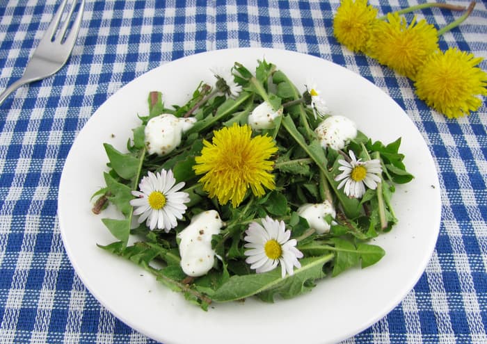 Salades sauvages et délicates · photo 1