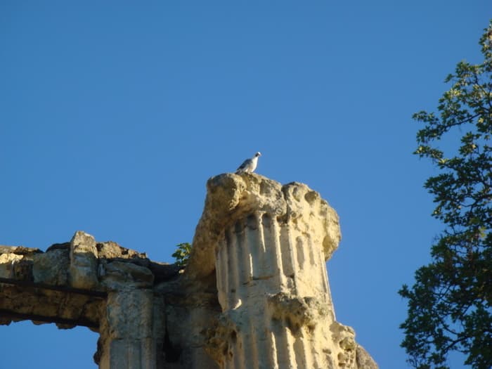 Exposition patrimoine et nature · photo 1