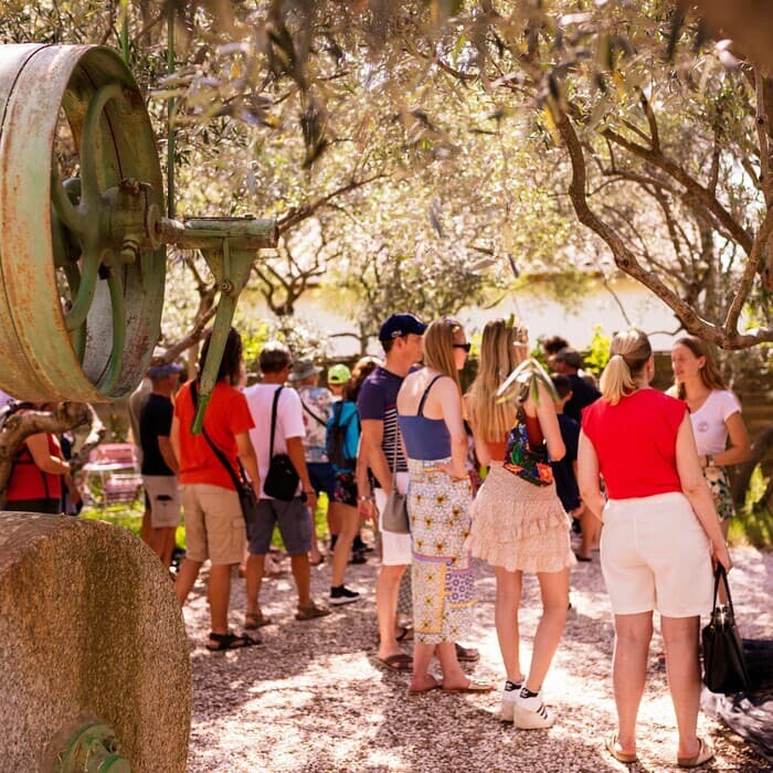 Visite guidée de l'Odyssée de l'Olivier · photo 1