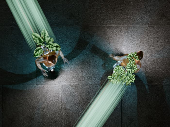 À l’écoute du vivant. Biomimétisme, entre arts et sciences · photo 1