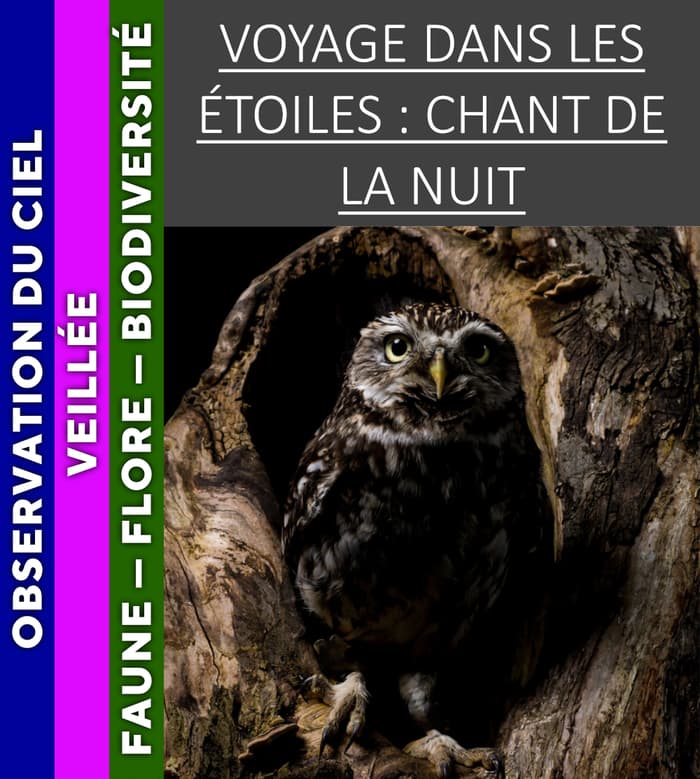 VERCORS - Voyage dans les étoiles : chant de la nuit · photo 1