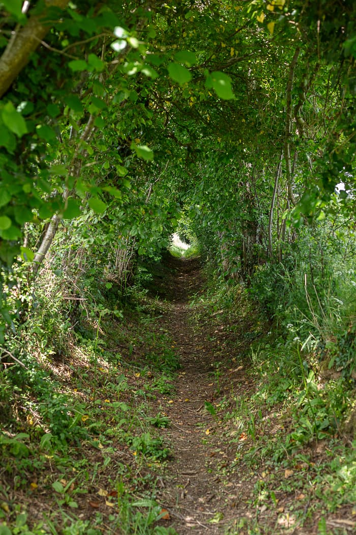 Circuit : à la croisée des chemins, quand les vivants se racontent · photo 1