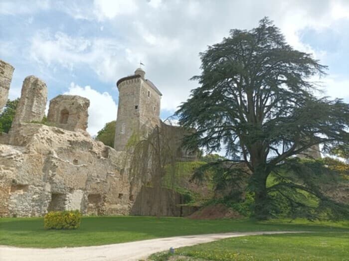 Le château au fil des pierres et de l'histoire · photo 1