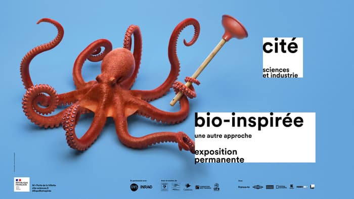 Bio-Inspirée, une autre approche · photo 1