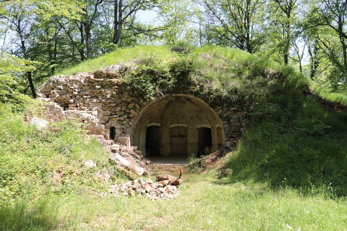 Randonnée entre chiens et loups sur le site de Montfaucon · photo 1