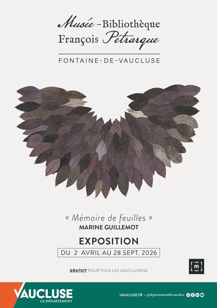 Rencontre avec l'artiste : Marine Guillemot nous parle de l'exposition Mémoire de feuilles · photo 1