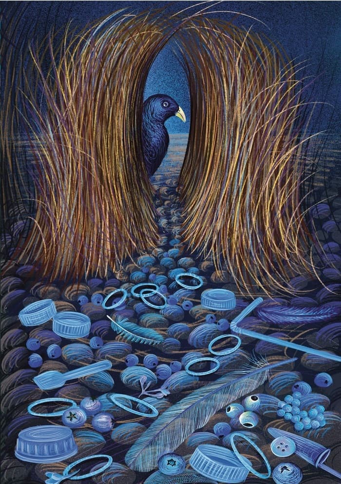 Exposition À la loupe : petites curiosités et collections d'Isabelle Simler · photo 1