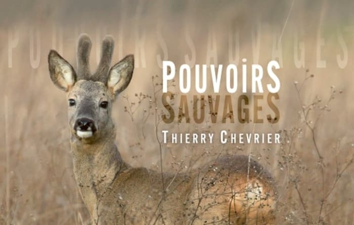 Pouvoirs sauvages, exposition photographique de Thierry Chevrier · photo 1