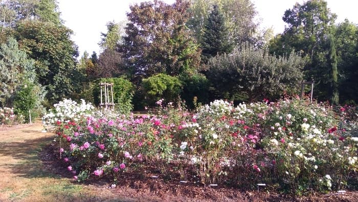 Découverte de l'arboretum Les Feuilles Fleuries de Saint-Eloi · photo 1