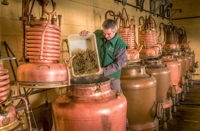 Visite guidée de la Distillerie - Verveine du Velay Pagès · photo 1