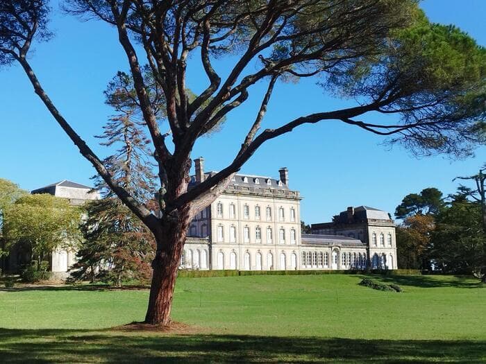 Avec la Fondation du patrimoine, soutenez la restauration du château de Pech Redon · photo 1
