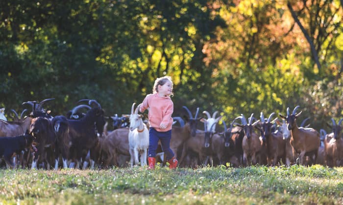 Bienvenue à la ferme - Cafés découverte 2026 · photo 1
