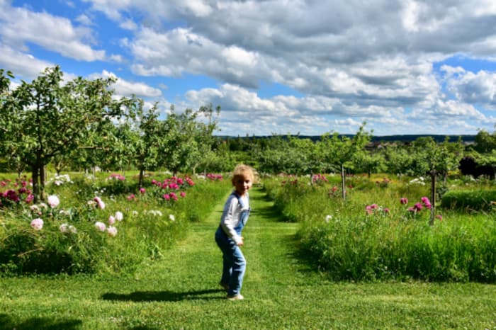 Chasse au trésor - à l'école de la nature · photo 1