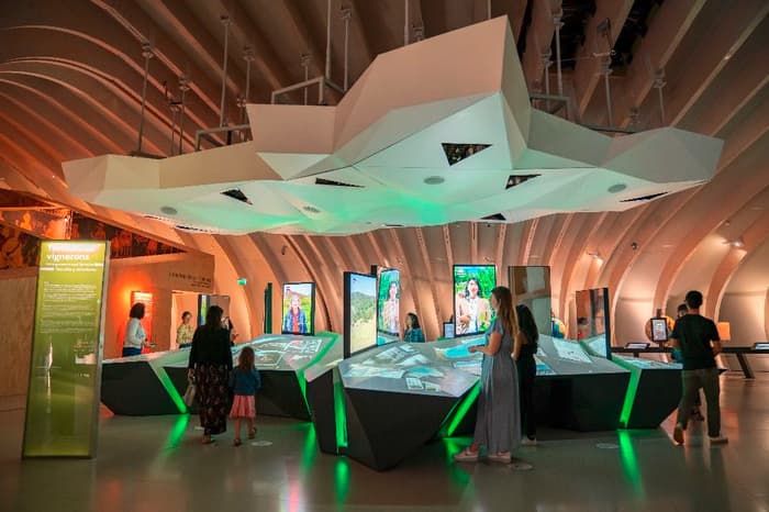 L'exposition permanente de La Cité du Vin · photo 1