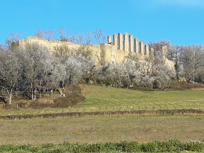 visite guidée château de Lourdon · photo 1
