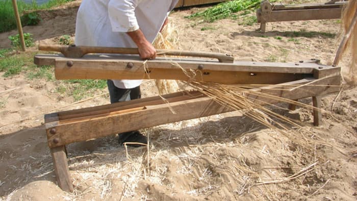 Démonstration : obtention des fibres textiles du chanvre · photo 1