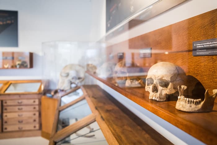 Musée de l'Aurignacien, la Préhistoire en Haute-Garonne · photo 1
