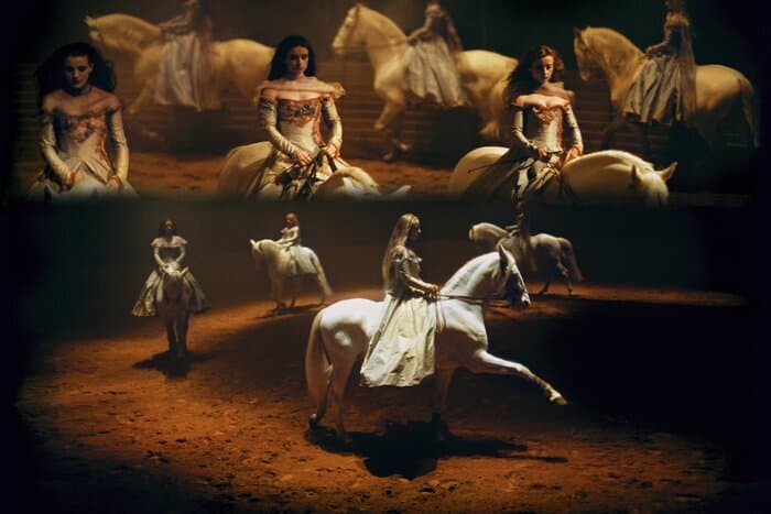 Exposition de photographie "Zingaro" au Pôle international de sports équestres · photo 1