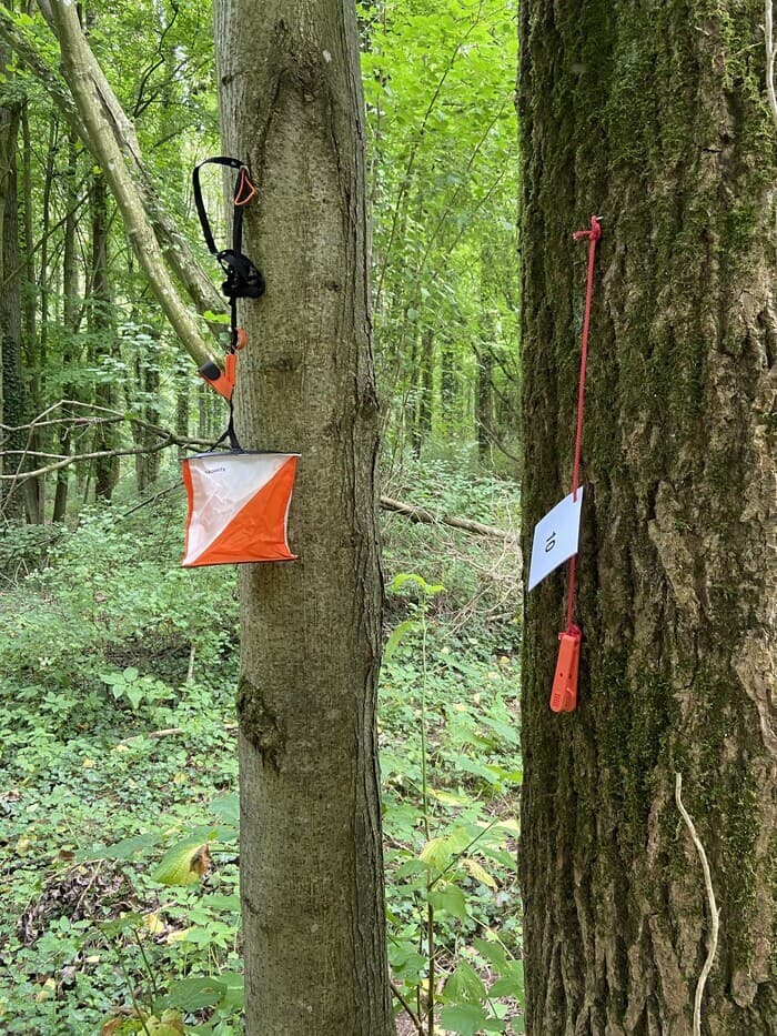 Parcours d'Orientation dans le parc du château · photo 1