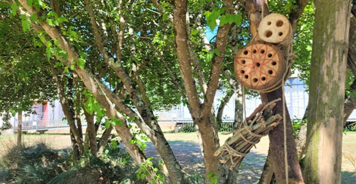 Atelier "Un hôtel pour les insectes" · photo 1