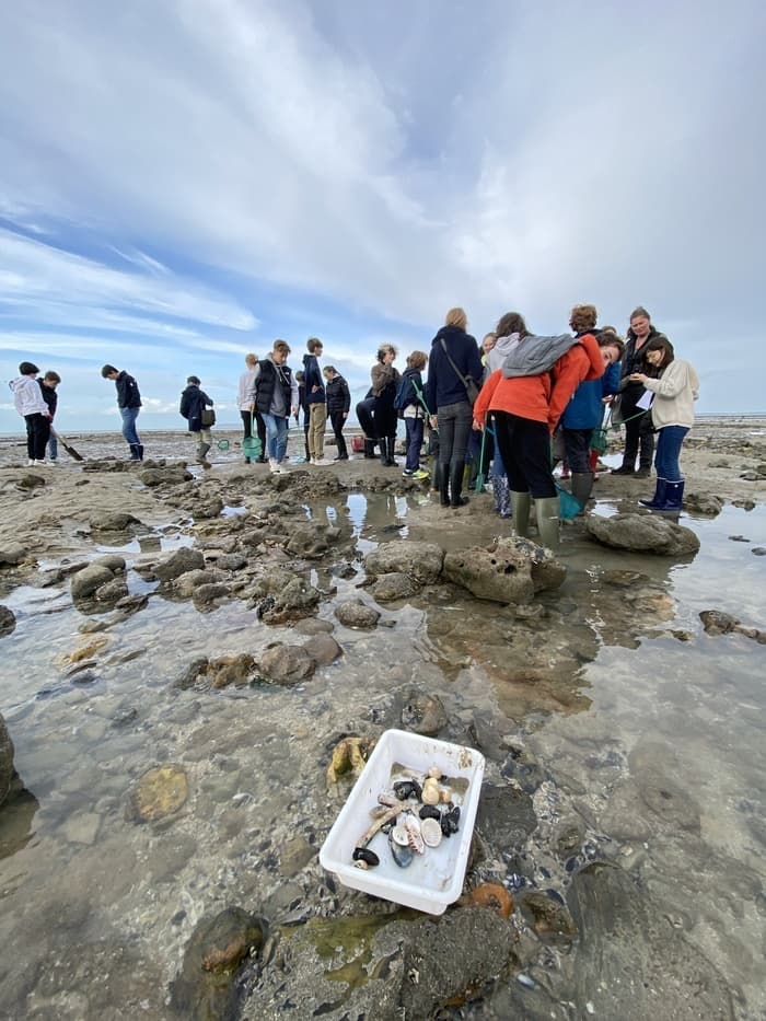 Levez les yeux ! Pêche à pied naturaliste · photo 1