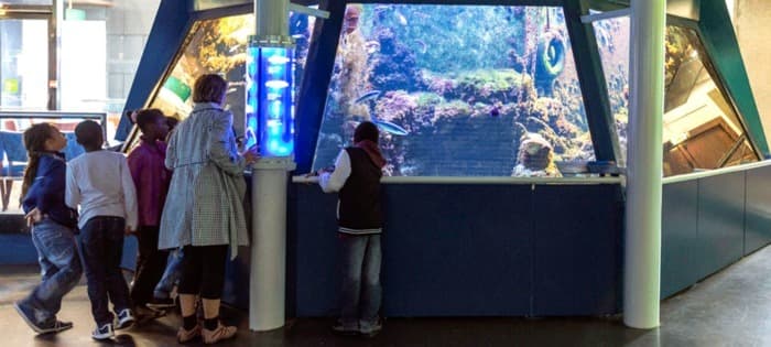 L'aquarium · photo 1