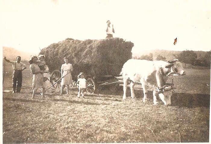 Histoire de la ferme · photo 1