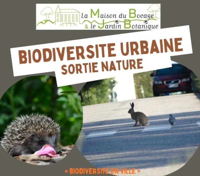 « Biodiversité en ville » · photo 1