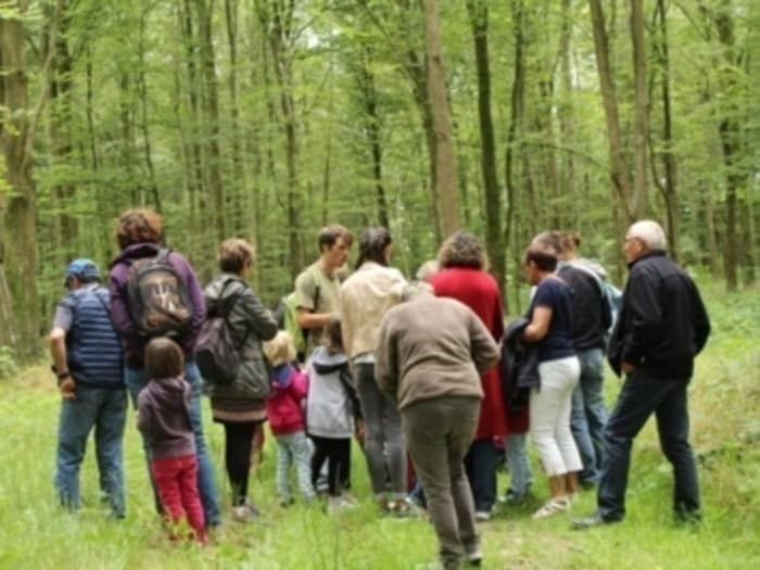 Levez les yeux ! À la découverte du milieu forestier · photo 1
