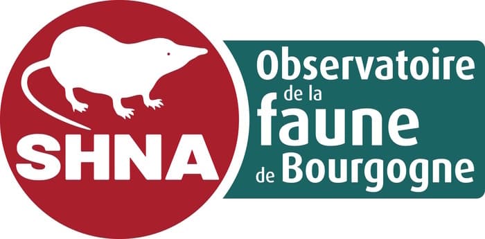 Portes ouvertes de la bibliothèque de la Société d'Histoire naturelle d'Autun · photo 1