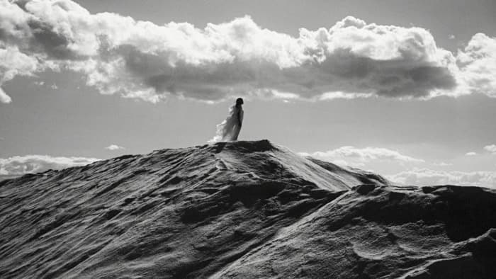LUMA Arles / In Search of… Incredible · photo 1