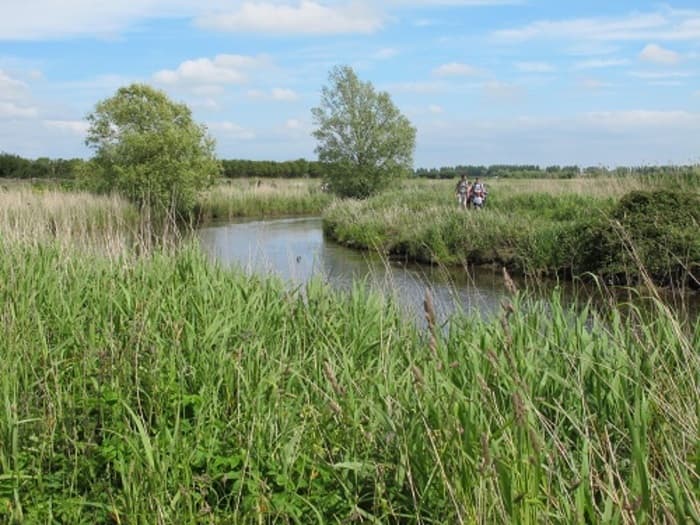 Circuit : randonnée dans les marais des Ponts d’Ouve · photo 1