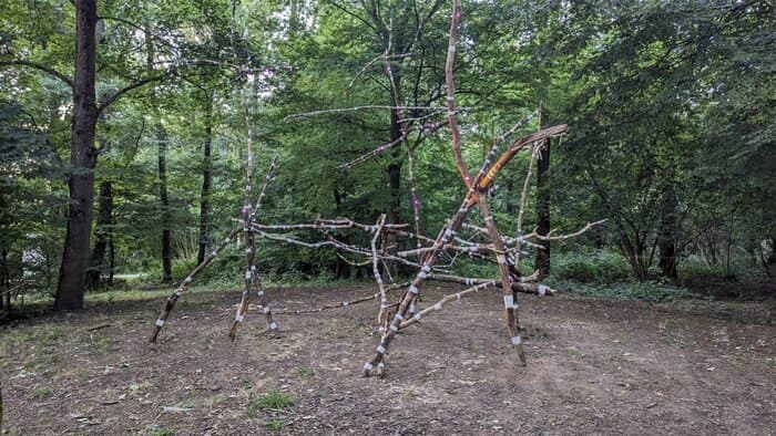 Collectif Sensitropes · photo 1