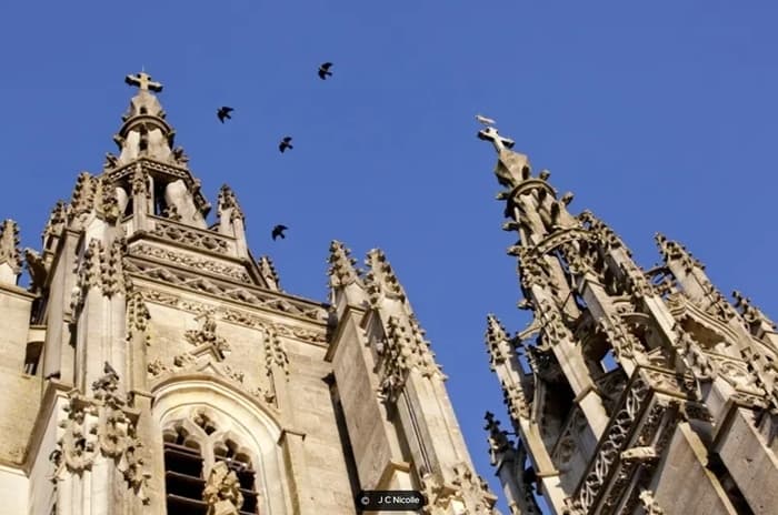 Visite guidée de la Basilique de l'Epine · photo 1