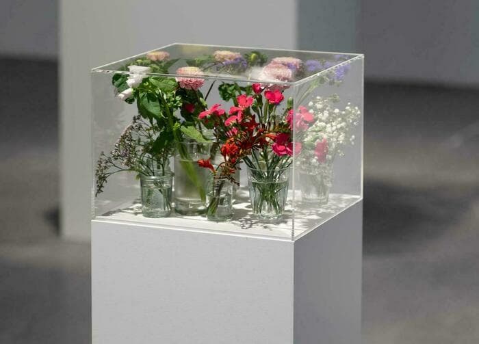 Exposition "Pollen" au CAPC de Bordeaux · photo 1