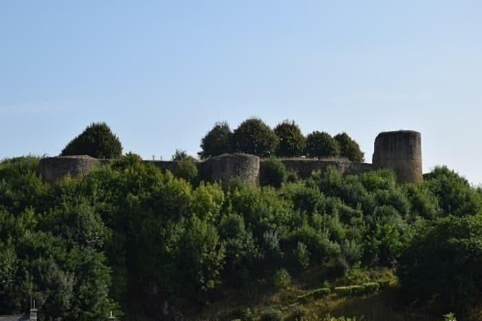 Visite libre du Château de Léhon · photo 1