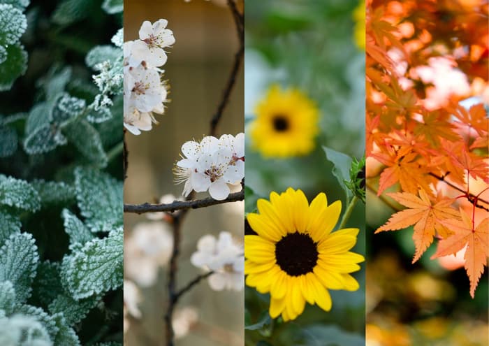 Les Quatre Saisons du Jardinier · photo 1