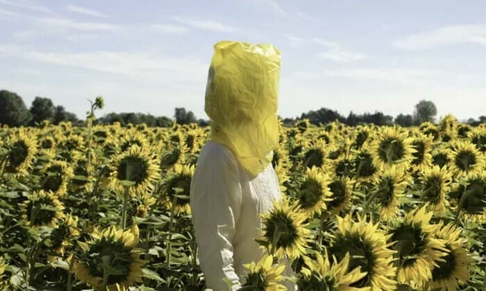 Exposition Plants and People - au Musée d’arts de Nantes · photo 1
