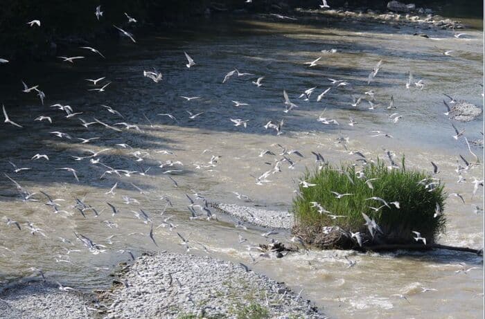 Exposition - "Natur'ailes" · photo 1