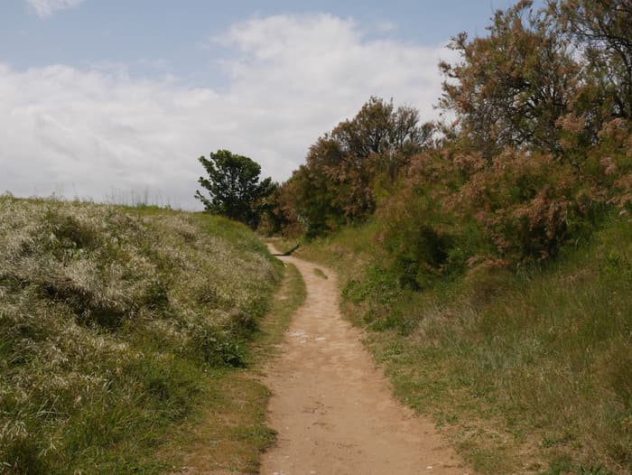 Levez les yeux ! Entre marais et manoir, le patrimoine historique et le patrimoine naturel se répondent · photo 1