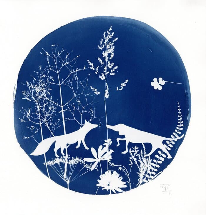 Cyanotype · photo 1