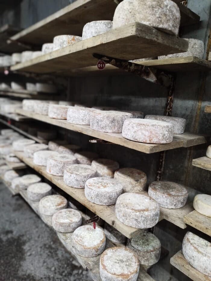 Plongez au cœur de la tradition à la ferme de la Trantsa ! · photo 1