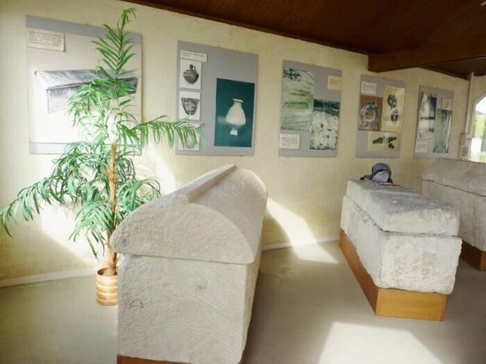 Découvrez la nécropole et son chantier de fouille · photo 1