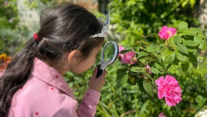 Jardin à la loupe · photo 1