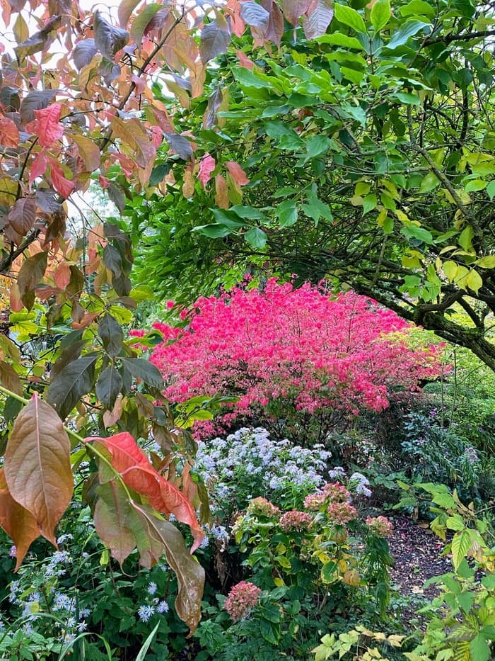 Visite libre du jardin · photo 1