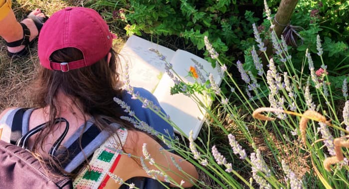 Stage 1 jour : S'initier à la culture des plantes médicinales · photo 1