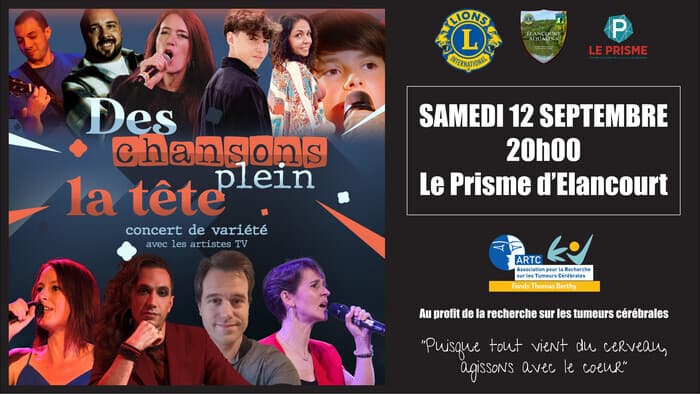 DES CHANSONS PLEIN LA TETE · photo 1